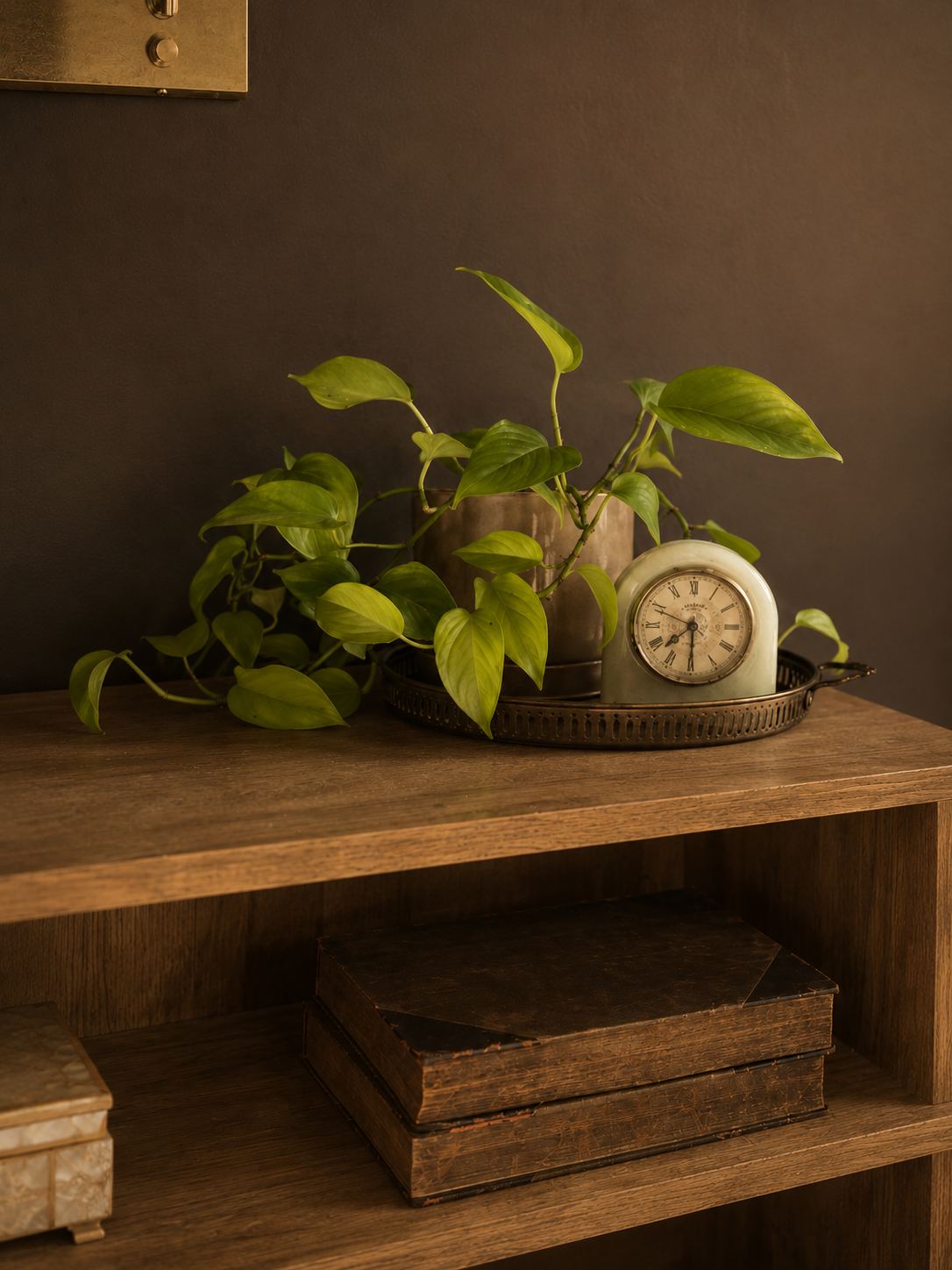 Trailing plant and an antique clock on a brass tray, on a walnut shelf